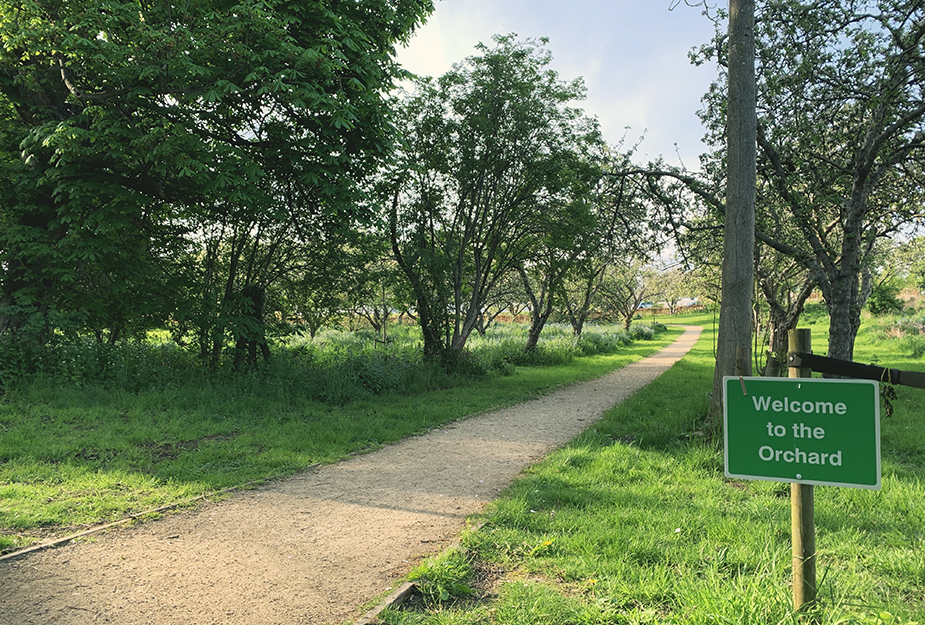 Image of a man-made pathway leading to the Orchard at the Royal Edinburgh Hospital
