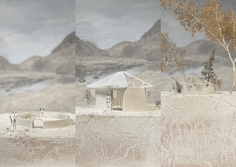 Architectural rendering of a hut from the hidden network of mycelium by 2024 Student Award winner Ailsa Hutton