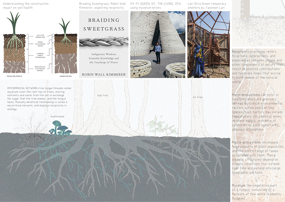 Soil profile in the hidden network of mycelium by 2024 Student Award winner Ailsa Hutton