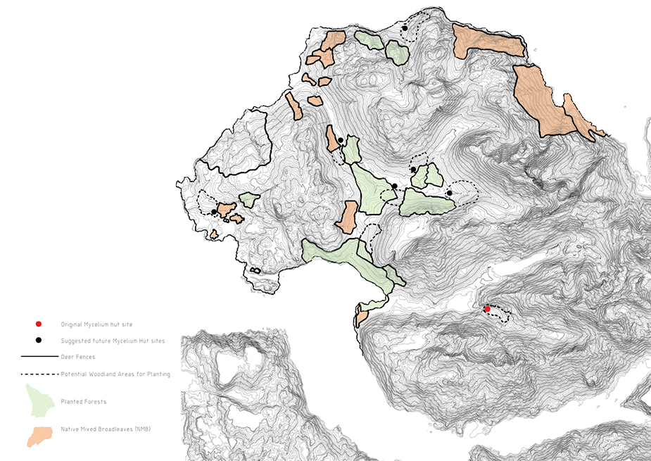 Geographical map from the hidden network of mycelium by 2024 Student Award winner Ailsa Hutton